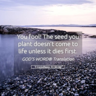 Picture 05 - 1 Corinthians 15:36 GW - You fool! The seed you plant doesn’t come to - Bible Verse Picture