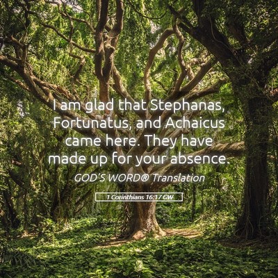 Picture 05 - 1 Corinthians 16:17 GW - I am glad that Stephanas, Fortunatus, and - Bible Verse Picture