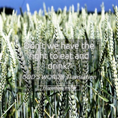 Picture 05 - 1 Corinthians 9:4 GW - Don’t we have the right to eat and - Bible Verse Picture