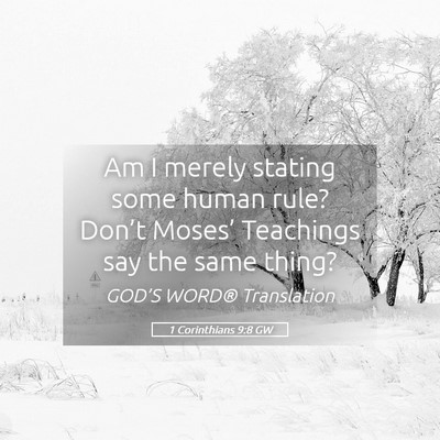 Picture 05 - 1 Corinthians 9:8 GW - Am I merely stating some human rule? Don’t - Bible Verse Picture