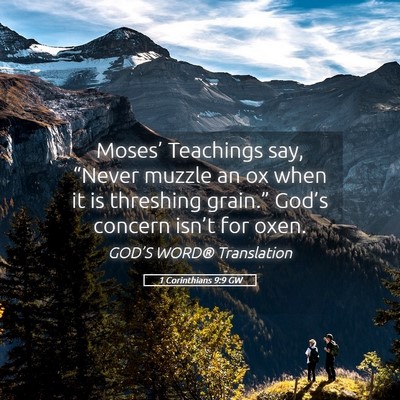 Picture 05 - 1 Corinthians 9:9 GW - Moses’ Teachings say, “Never muzzle an ox - Bible Verse Picture