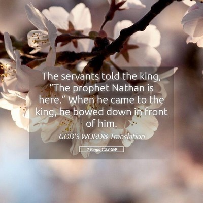 Picture 05 - 1 Kings 1:23 GW - The servants told the king, “The prophet Nathan - Bible Verse Picture