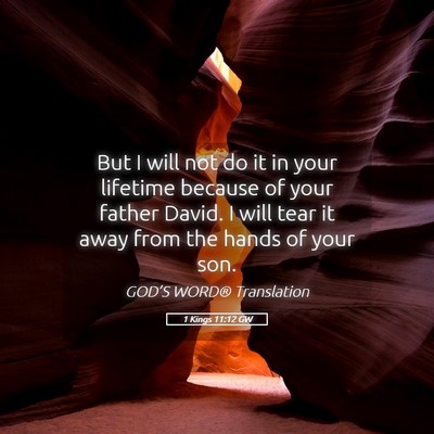 Picture 05 - 1 Kings 11:12 GW - But I will not do it in your lifetime because of - Bible Verse Picture