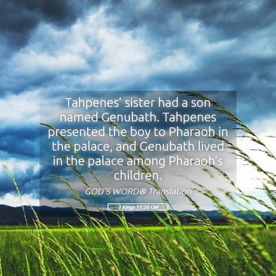 Picture 05 - 1 Kings 11:20 GW - Tahpenes’ sister had a son named Genubath. - Bible Verse Picture