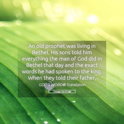 Picture 05 - 1 Kings 13:11 GW - An old prophet was living in Bethel. His sons - Bible Verse Picture
