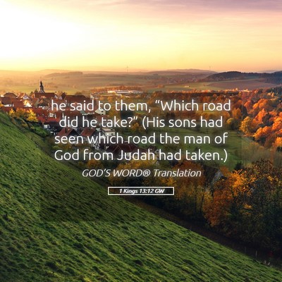 Picture 05 - 1 Kings 13:12 GW - he said to them, “Which road did he take?” - Bible Verse Picture