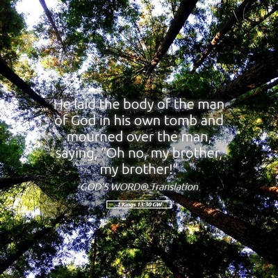 Picture 05 - 1 Kings 13:30 GW - He laid the body of the man of God in his own - Bible Verse Picture