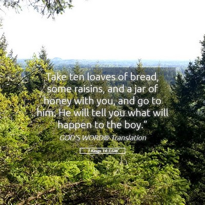 Picture 05 - 1 Kings 14:3 GW - Take ten loaves of bread, some raisins, and a jar - Bible Verse Picture
