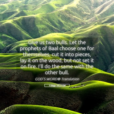 Picture 05 - 1 Kings 18:23 GW - Give us two bulls. Let the prophets of Baal - Bible Verse Picture