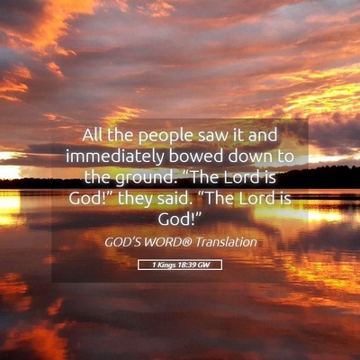 Picture 05 - 1 Kings 18:39 GW - All the people saw it and immediately bowed down - Bible Verse Picture
