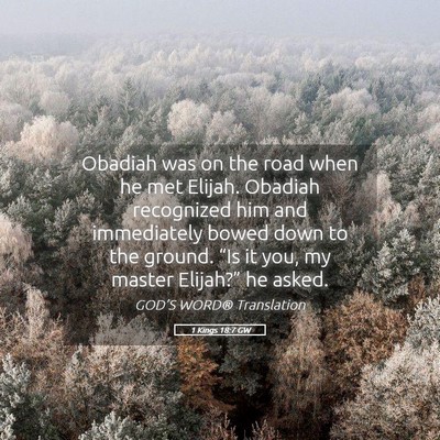 Picture 05 - 1 Kings 18:7 GW - Obadiah was on the road when he met Elijah. - Bible Verse Picture