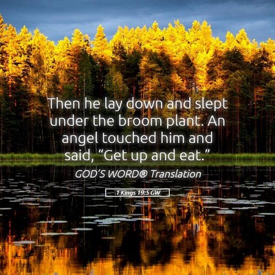 Picture 05 - 1 Kings 19:5 GW - Then he lay down and slept under the broom plant. - Bible Verse Picture