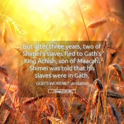 Picture 05 - 1 Kings 2:39 GW - But after three years, two of Shimei’s slaves - Bible Verse Picture