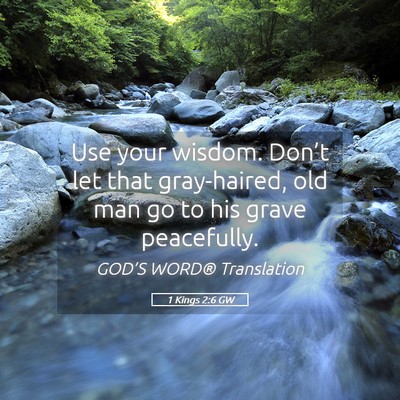 Picture 05 - 1 Kings 2:6 GW - Use your wisdom. Don’t let that gray-haired, - Bible Verse Picture