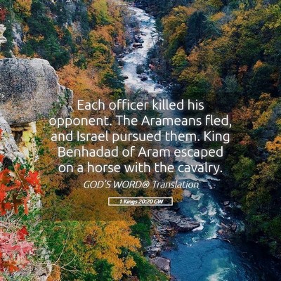 Picture 05 - 1 Kings 20:20 GW - Each officer killed his opponent. The Arameans - Bible Verse Picture