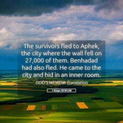Picture 05 - 1 Kings 20:30 GW - The survivors fled to Aphek, the city where the - Bible Verse Picture