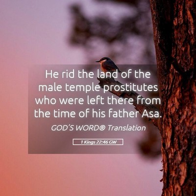 Picture 05 - 1 Kings 22:46 GW - He rid the land of the male temple prostitutes - Bible Verse Picture