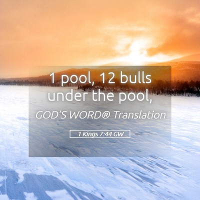 Picture 05 - 1 Kings 7:44 GW - 1 pool, 12 bulls under the - Bible Verse Picture