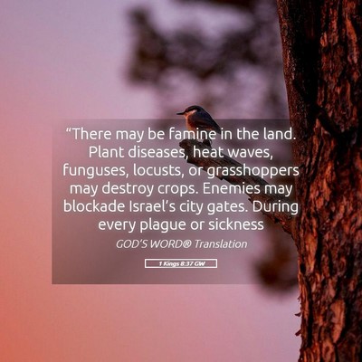 Picture 05 - 1 Kings 8:37 GW - “There may be famine in the land. Plant - Bible Verse Picture
