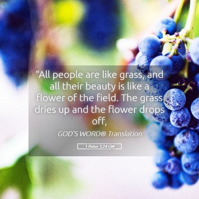 Picture 05 - 1 Peter 1:24 GW - “All people are like grass, and all their - Bible Verse Picture