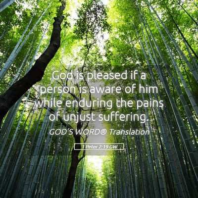 Picture 05 - 1 Peter 2:19 GW - God is pleased if a person is aware of him while - Bible Verse Picture