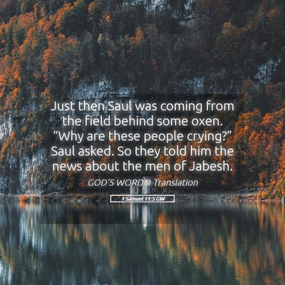 Picture 05 - 1 Samuel 11:5 GW - Just then Saul was coming from the field behind - Bible Verse Picture