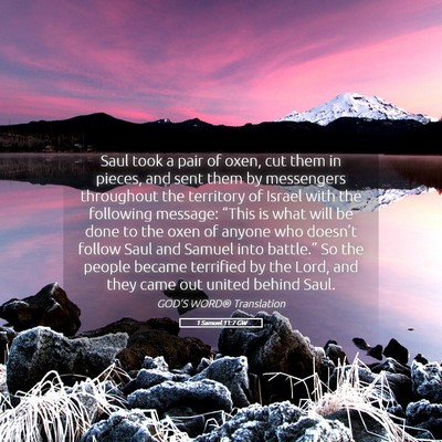 Picture 05 - 1 Samuel 11:7 GW - Saul took a pair of oxen, cut them in pieces, and - Bible Verse Picture