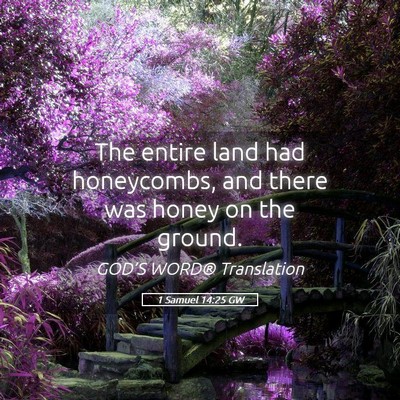 Picture 05 - 1 Samuel 14:25 GW - The entire land had honeycombs, and there was - Bible Verse Picture