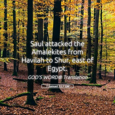 Picture 05 - 1 Samuel 15:7 GW - Saul attacked the Amalekites from Havilah to - Bible Verse Picture