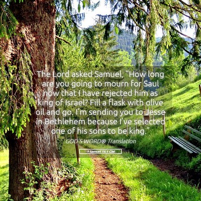 Picture 05 - 1 Samuel 16:1 GW - The Lord asked Samuel, “How long are you going - Bible Verse Picture