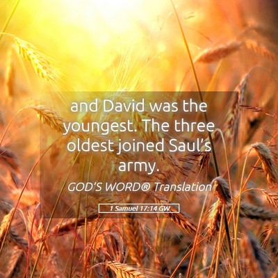 Picture 05 - 1 Samuel 17:14 GW - and David was the youngest. The three oldest - Bible Verse Picture