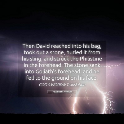 Picture 05 - 1 Samuel 17:49 GW - Then David reached into his bag, took out a - Bible Verse Picture
