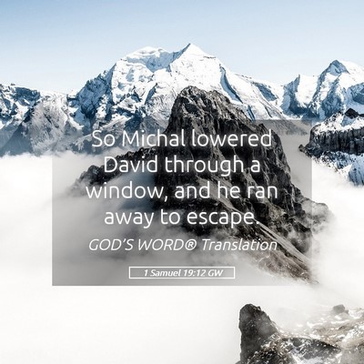 Picture 05 - 1 Samuel 19:12 GW - So Michal lowered David through a window, and he - Bible Verse Picture