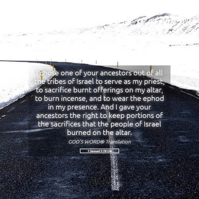 Picture 05 - 1 Samuel 2:28 GW - I chose one of your ancestors out of all the - Bible Verse Picture