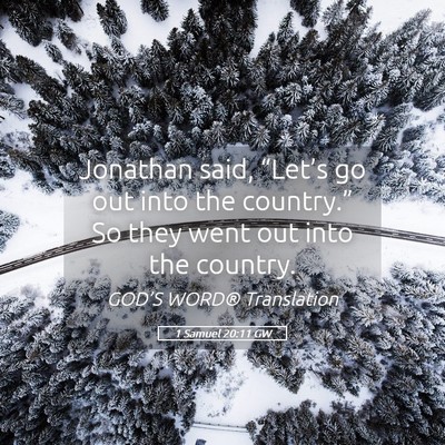 Picture 05 - 1 Samuel 20:11 GW - Jonathan said, “Let’s go out into the - Bible Verse Picture