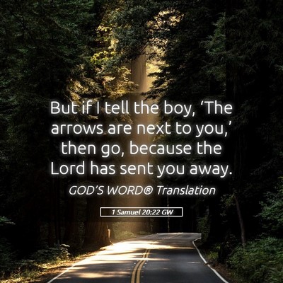 Picture 05 - 1 Samuel 20:22 GW - But if I tell the boy, ‘The arrows are next to - Bible Verse Picture