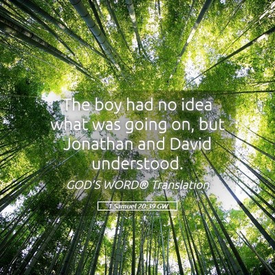 Picture 05 - 1 Samuel 20:39 GW - The boy had no idea what was going on, but - Bible Verse Picture