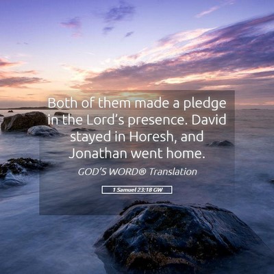 Picture 05 - 1 Samuel 23:18 GW - Both of them made a pledge in the Lord’s - Bible Verse Picture