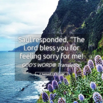 Picture 05 - 1 Samuel 23:21 GW - Saul responded, “The Lord bless you for feeling - Bible Verse Picture