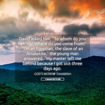 Picture 05 - 1 Samuel 30:13 GW - David asked him, “To whom do you belong? Where - Bible Verse Picture