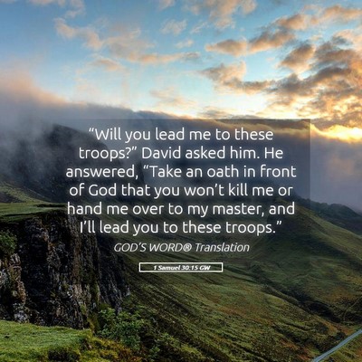Picture 05 - 1 Samuel 30:15 GW - “Will you lead me to these troops?” David - Bible Verse Picture