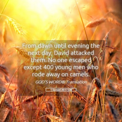 Picture 05 - 1 Samuel 30:17 GW - From dawn until evening the next day, David - Bible Verse Picture