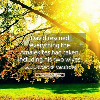 Picture 05 - 1 Samuel 30:18 GW - David rescued everything the Amalekites had - Bible Verse Picture
