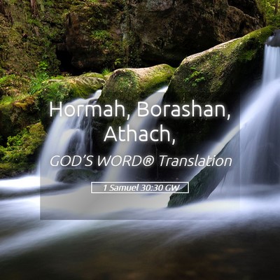 Picture 05 - 1 Samuel 30:30 GW - Hormah, Borashan, - Bible Verse Picture