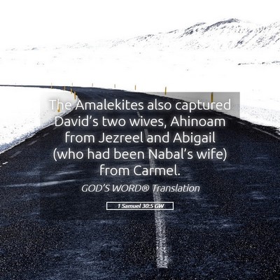 Picture 05 - 1 Samuel 30:5 GW - The Amalekites also captured David’s two wives, - Bible Verse Picture