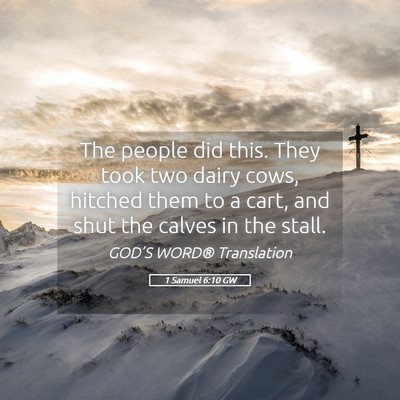 Picture 05 - 1 Samuel 6:10 GW - The people did this. They took two dairy cows, - Bible Verse Picture