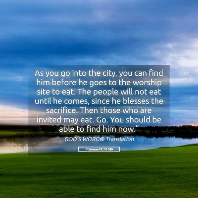 Picture 05 - 1 Samuel 9:13 GW - As you go into the city, you can find him before - Bible Verse Picture