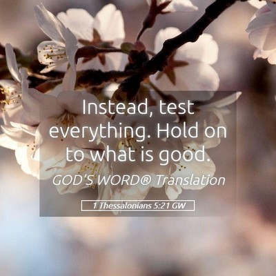 Picture 05 - 1 Thessalonians 5:21 GW - Instead, test everything. Hold on to what is - Bible Verse Picture