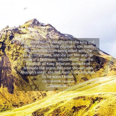 Picture 05 - 2 Chronicles 22:11 GW - But Jehoshebath, daughter of the king and sister - Bible Verse Picture