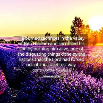 Picture 05 - 2 Chronicles 28:3 GW - He burned sacrifices in the valley of Ben Hinnom - Bible Verse Picture